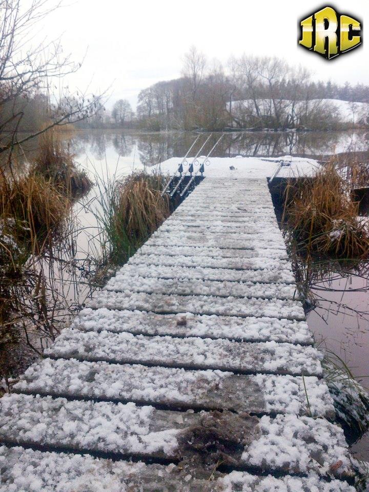 JRC - 53216219633578200401453970520n.jpg